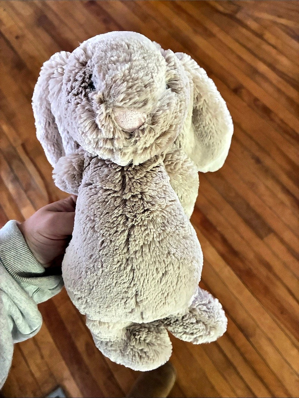 Jellycat bunny